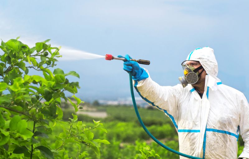 Commercial Fumigation in Gwinnett County, GA