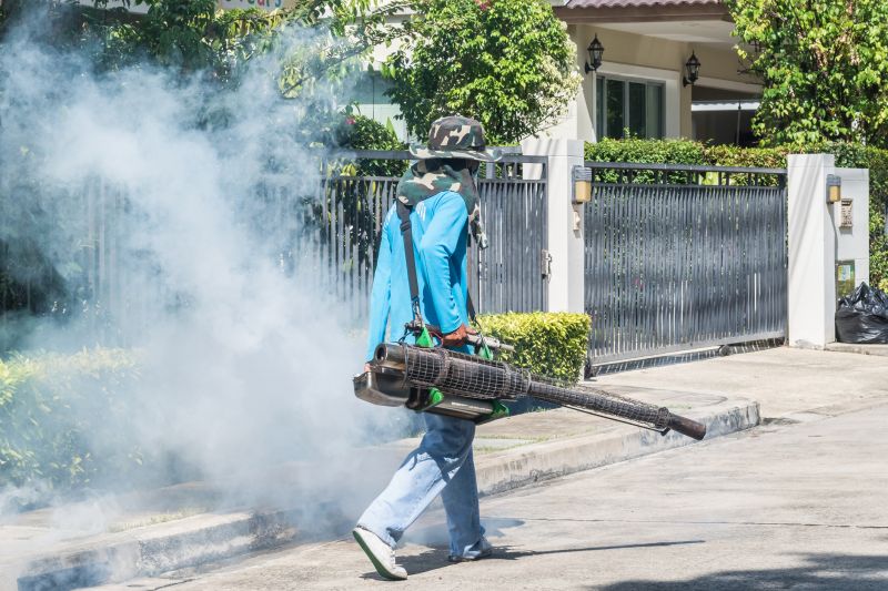 Rat Fumigation Service in Coeur D Alene, ID