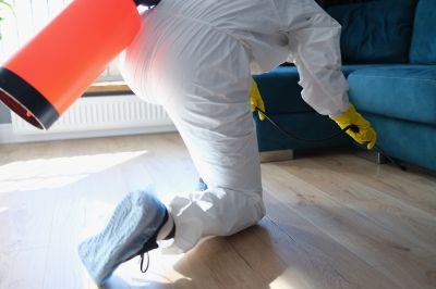 Roach Fumigation in Fredericksburg, VA