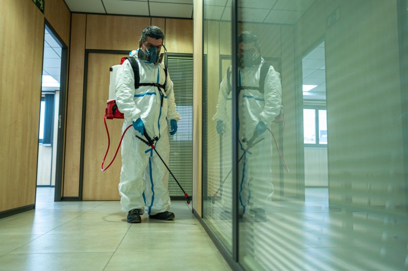 Spider Fumigation Service in Wilmington, NC
