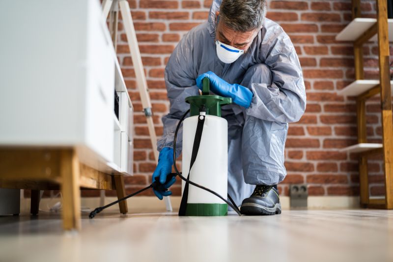 Spider Mite Extermination in Katy, TX