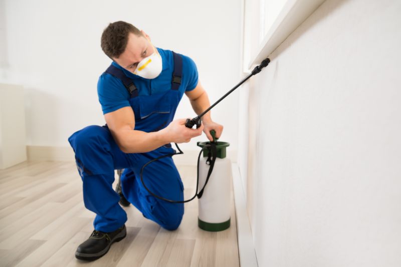 Lizard Extermination Services Overview